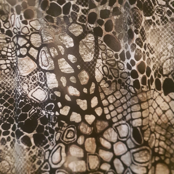 👚 TanJay Reptile Print Top - Picture 4 of 5